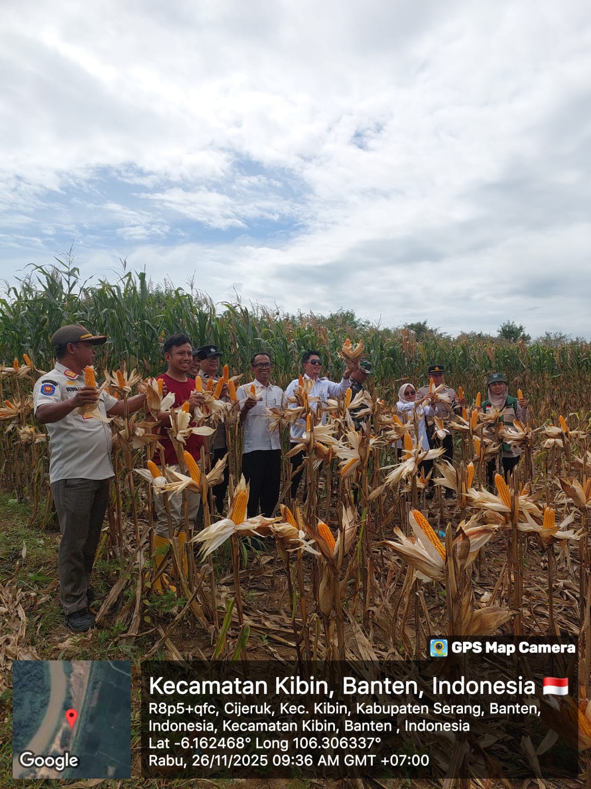 ketahanan-pangan-desa-cijeruk-kecamatan-kibin
